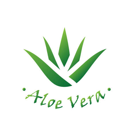 Set of aloe vera nature leaf icon , logo vector illustration.Vector beauty logotypesのイラスト素材