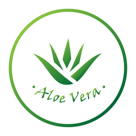 Set of aloe vera nature leaf icon , logo vector illustration.Vector beauty logotypesのイラスト素材