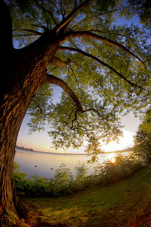 Hamburg Alsterの写真素材