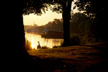 Hamburg Alsterの写真素材