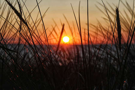 Ostesee sun duskの写真素材