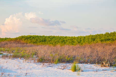 Beach Imageの写真素材