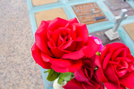 A community run cemeteryの写真素材