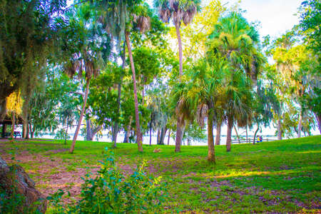 Public Park with beautiful scenery.の写真素材