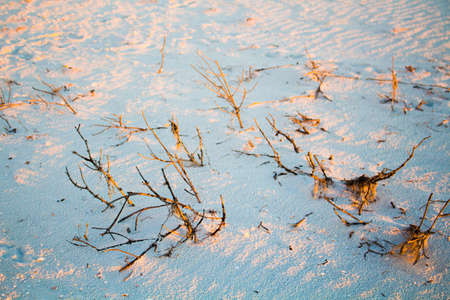 Beach Image