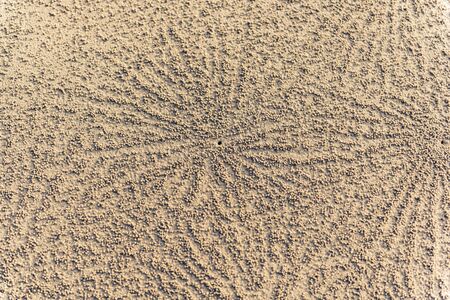 The pattern on the sand, small crabs hole on the beachの写真素材