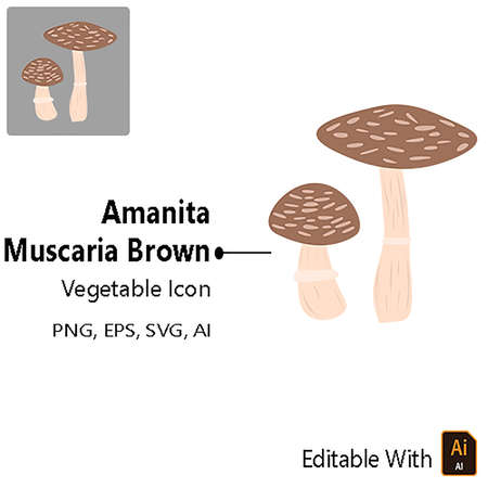 Vegetable Icon - Amanita Muscaria Brown Vector Design Graphic for design needs: Ui website, application, logo, illustration, etc.
In the download:
-EPS
-JPEG.のイラスト素材