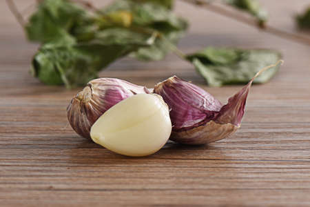 Northwestern purple skin garlic