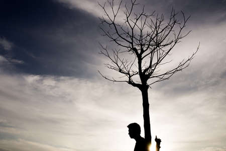 People with a dead tree in the sunshine in evening time at sunsetの写真素材