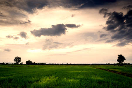 Fields with an evening sky with clouds in sunset time at coutryの写真素材