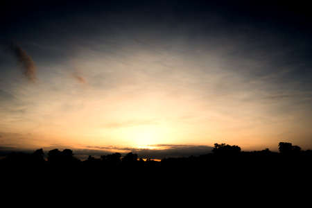 The sun rises above the treetops in the morning