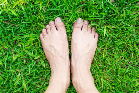 Foot on the green grass in the sunshine in gardenの写真素材