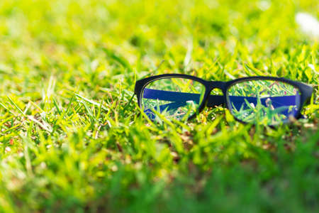 Glasses lay on the grass in the sunshine in evening time.の写真素材