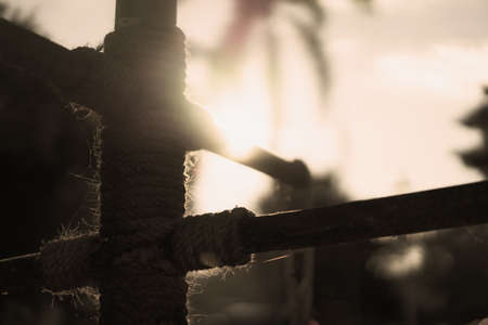 In the morning light pole in sunshine.の写真素材