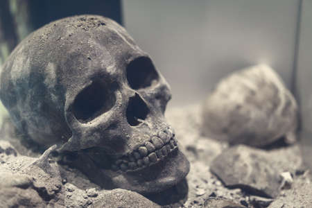 Ancient human skull in soft light on floor.の写真素材