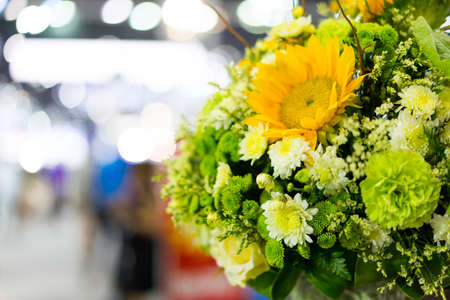 Flowers in bright, vibrant colors in isolate.の写真素材