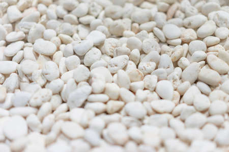 White pebbles lined on the floor in soft light.の写真素材