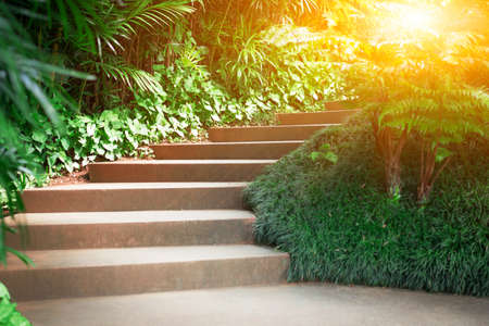 Sunlight streaming through the bushes on the way up in morning time.の写真素材