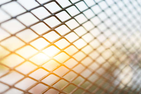 Sun shining through the steel cage diamond foreground bushes in morning sun.