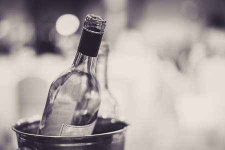 Putting green bottle in an ice bucket in black and white tone.の写真素材