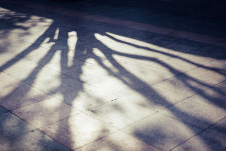 Trees cast a shadow over the pavement in evening time.の写真素材