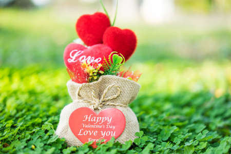 Heart-shaped gift in a bag on the floor of the Clover grass.の写真素材