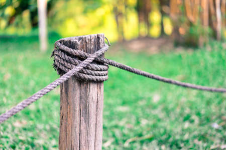Wooden fence pole by a rope in the garden at morning.の写真素材