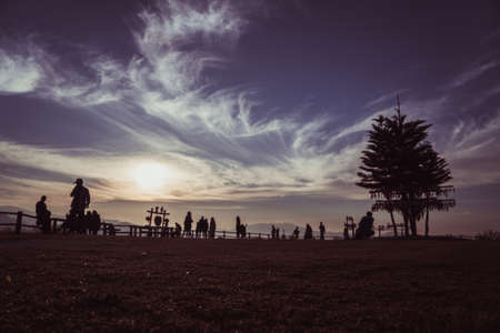 Grassy hilltop dawn cold in dark old tone.の写真素材
