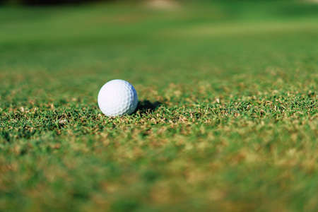 The golf ball rests on a bright green lawn in sunshine.の写真素材
