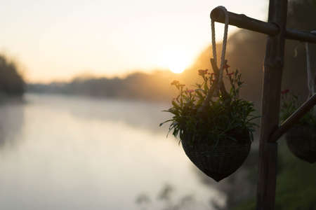 sun of hope is rising in a cold morning on a calm river and flower.の写真素材