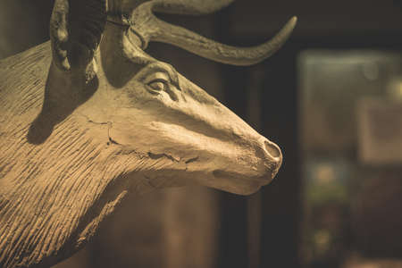 Deer head statue in a dinner restaurantの写真素材
