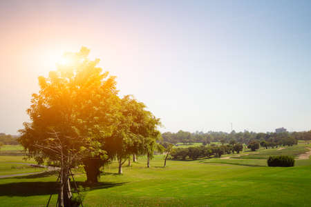 Golf sport played on the outdoor courts of the social eliteの写真素材