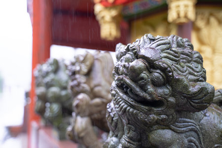 Chinese stone lion god statue on a rainy day.の写真素材