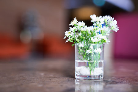 White daisy flowers in glass placed on table, bokeh light background.の写真素材