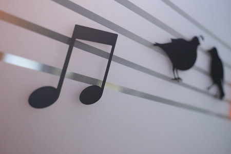 Black music notes on a white wall with shadows in the shade, no light.の写真素材