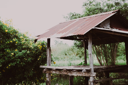 Old Accommodation: A dilapidated old hut used by farmers to rest during the rice harvest.の写真素材