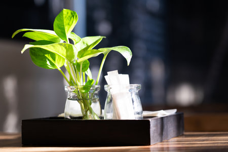 Small plants in glass jars and toothpicks on the table ,The interior of the restaurant on the morning bokeh light background.の写真素材