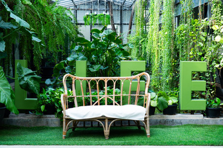 Wooden chairs and soft cushions on the grass amidst shady natural leaves. Outside the garden of the cafe zone.の写真素材