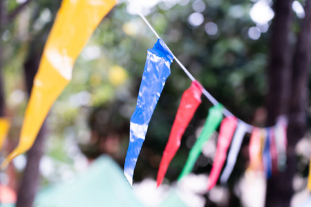 Party flags in the field, colorful flags, specific focus. bokeh light background.