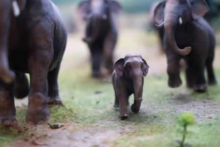 Elephant model, focus on specific points.の写真素材