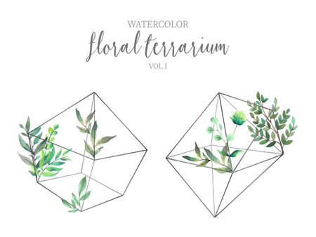 floral terrarium with green leaves design vector illustrationのイラスト素材