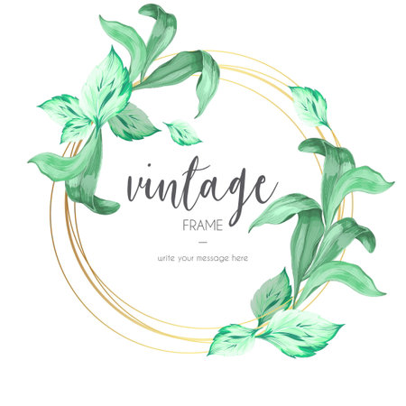 vintage frame with ornamental leaves vector design illustrationのイラスト素材