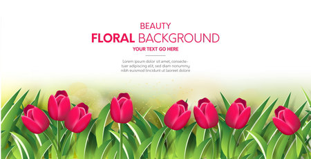beauty floral background design vector illustrationのイラスト素材