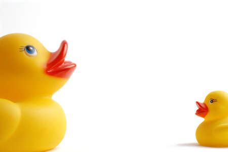 Plastic yellow ducks facing eachotherの写真素材