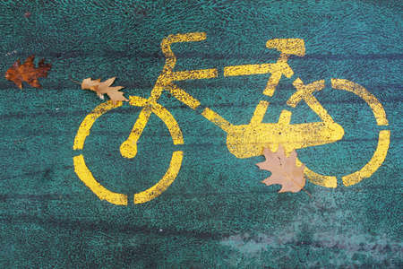 Detail of a bicycle lane in a park with autumn leaves