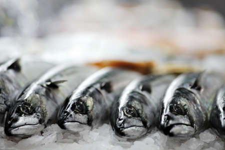Fresh fish is displayed in a supermarketの写真素材