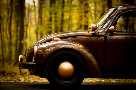 Color shot of a vintage car in a forestのeditorial素材