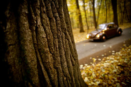 Color shot of a blurred classic car in a forestのeditorial素材