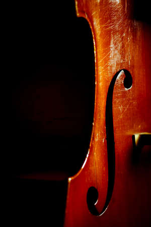Color detail of a vintage double bassの写真素材