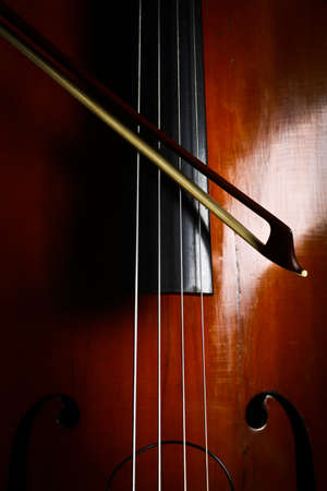 Color detail of a vintage double bass
